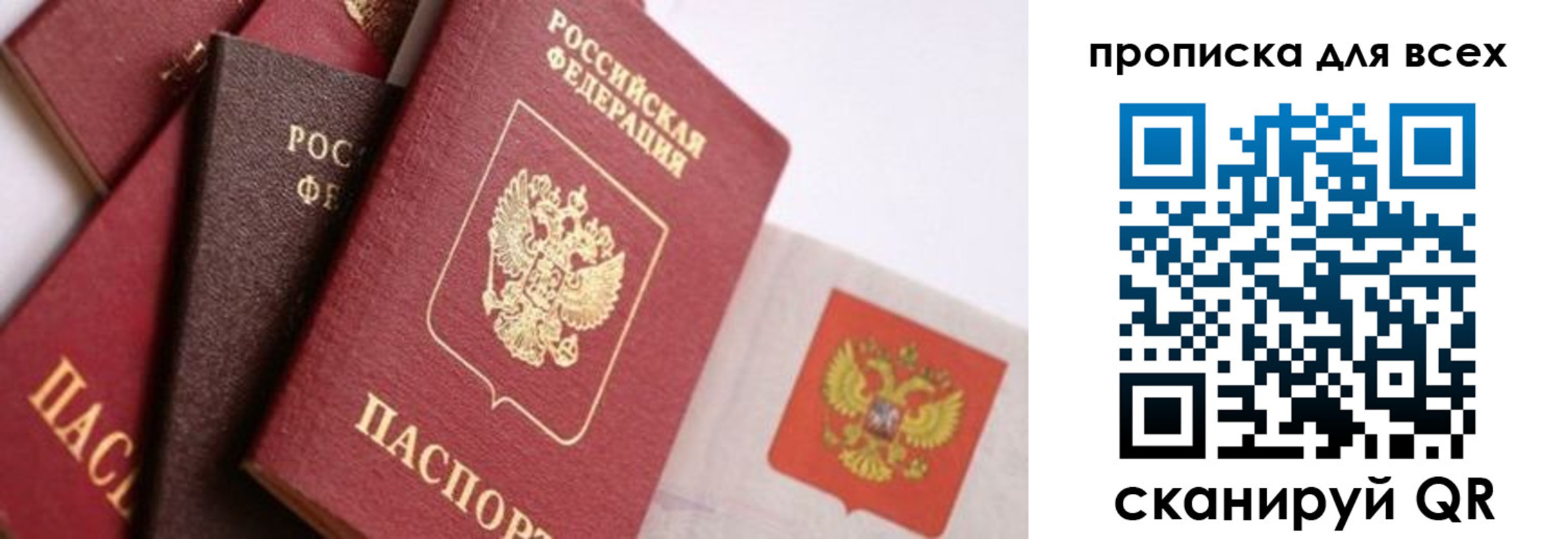 временная регистрация поиск в Калужской области